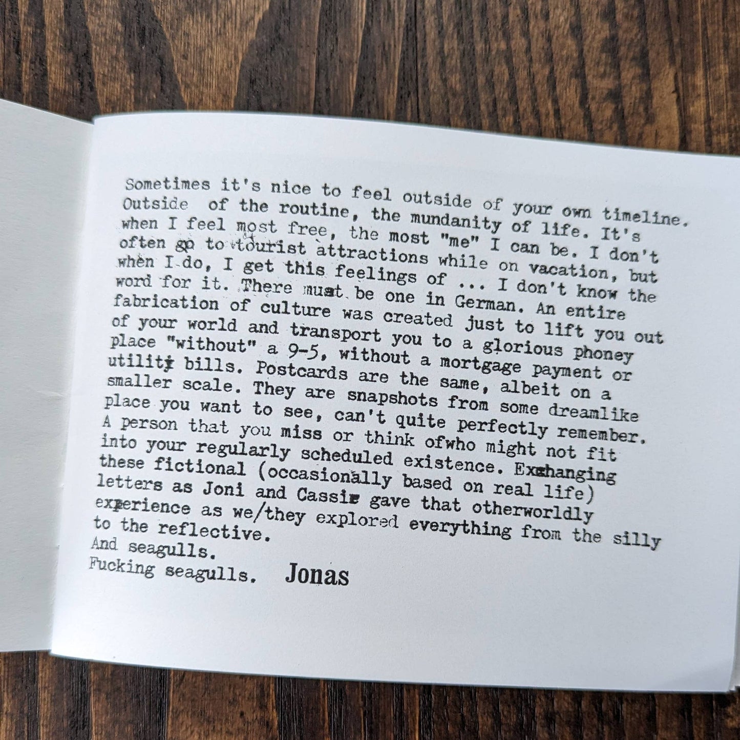 Shouting at Seagulls Zine