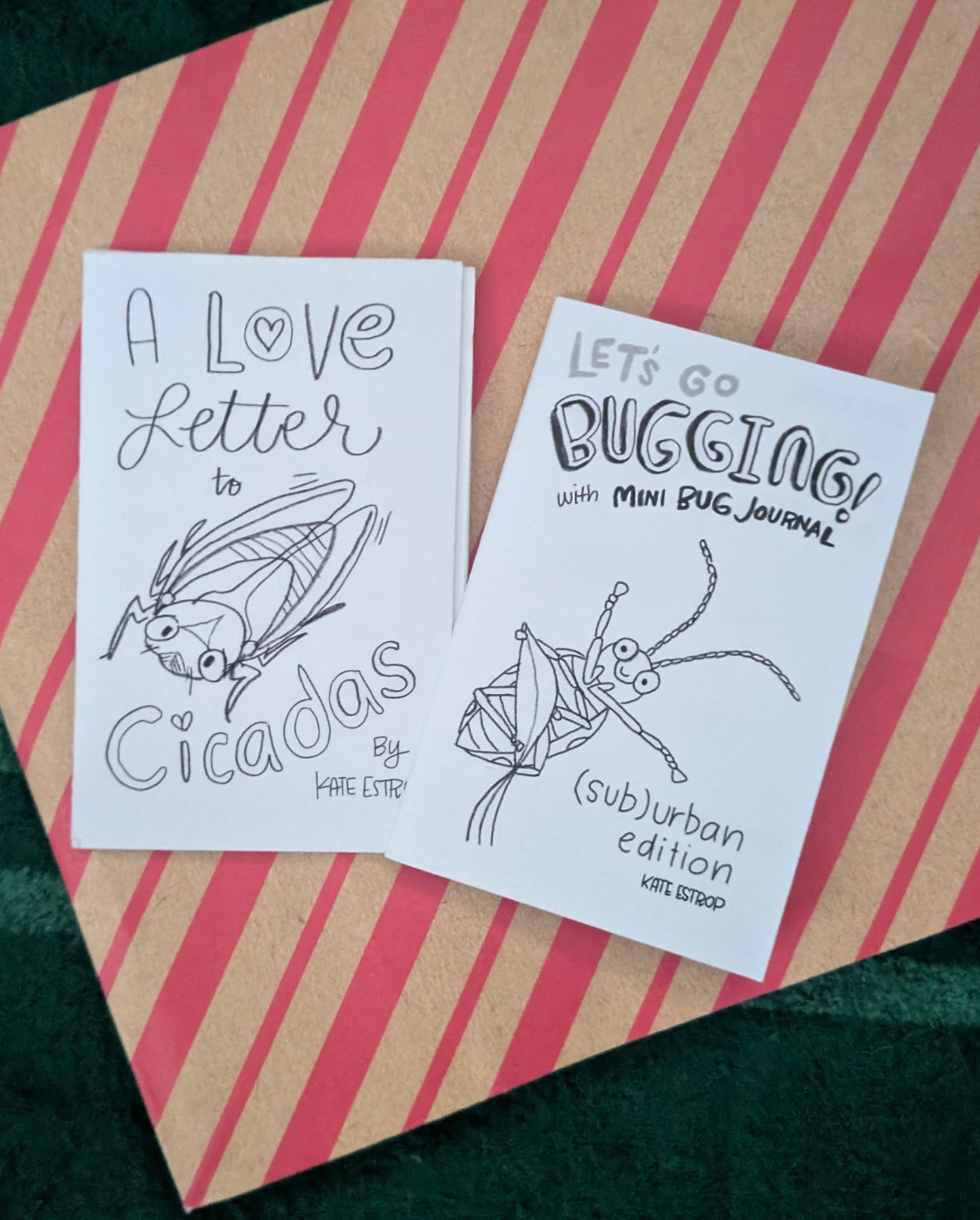 We Love Insect Zine Pair