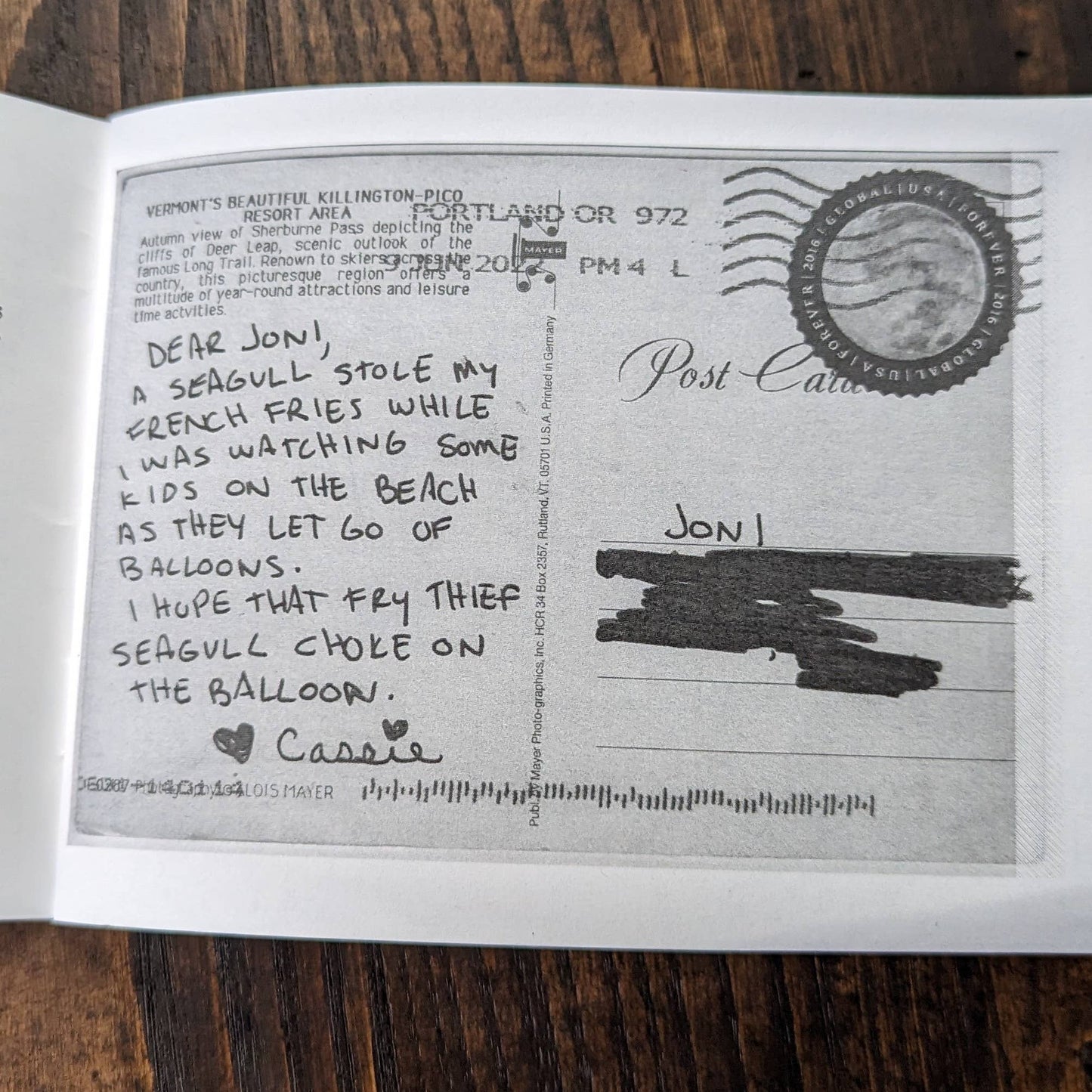 Shouting at Seagulls Zine