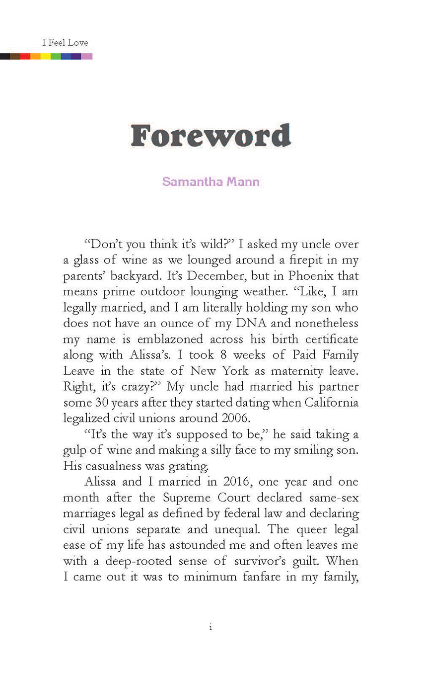 I Feel Love Notes on Queer Joy Sample Page 1