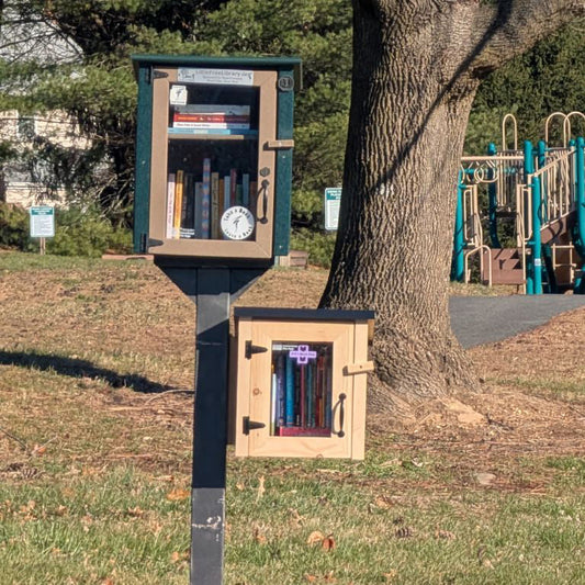 The Read Furiously Little Free Library Expansion