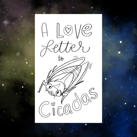 Love Letter to Cicadas Zine