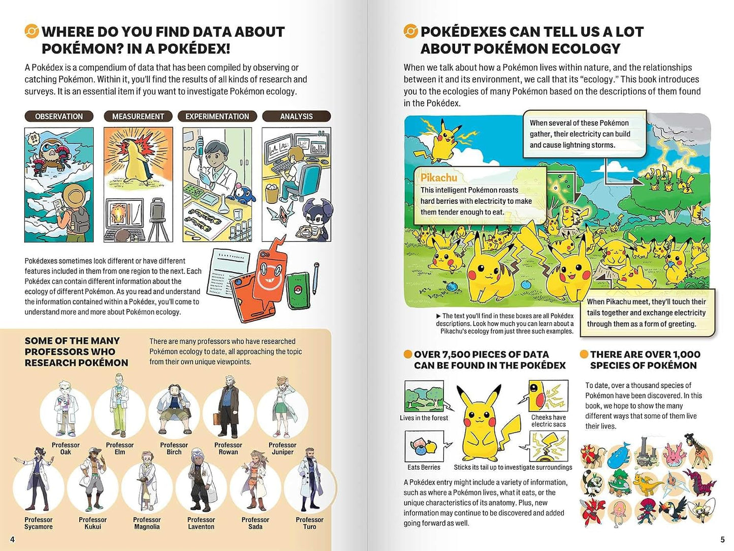 Pokecology: An Illustrated Guide to Pokémon Ecology