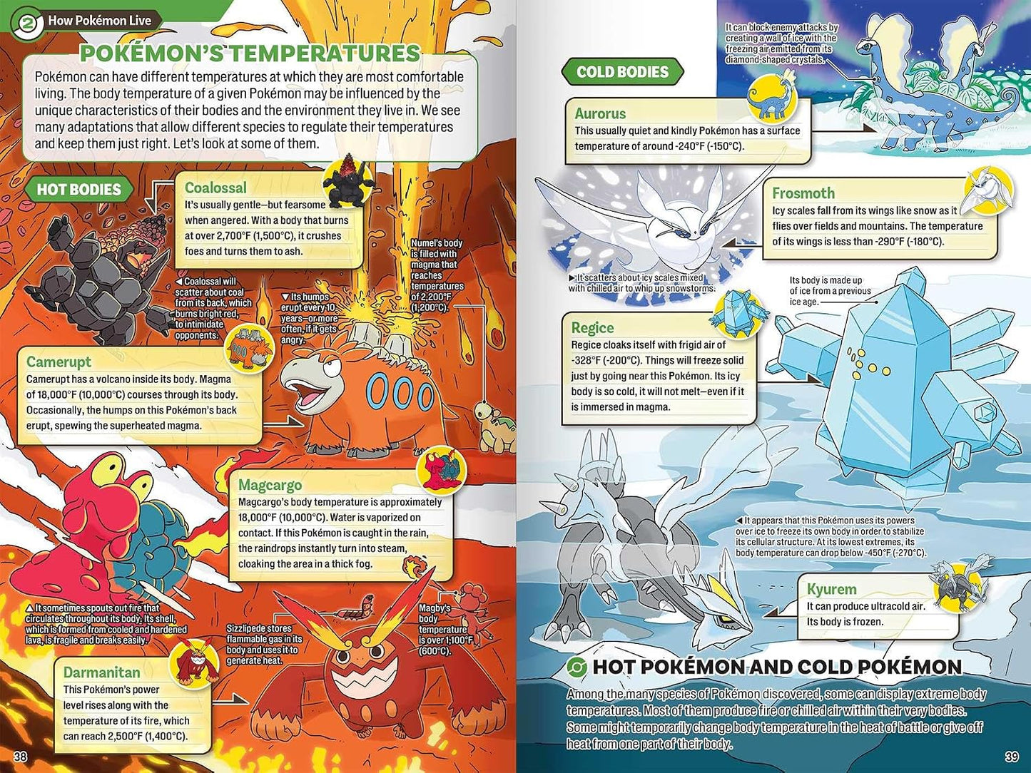 Pokecology: An Illustrated Guide to Pokémon Ecology