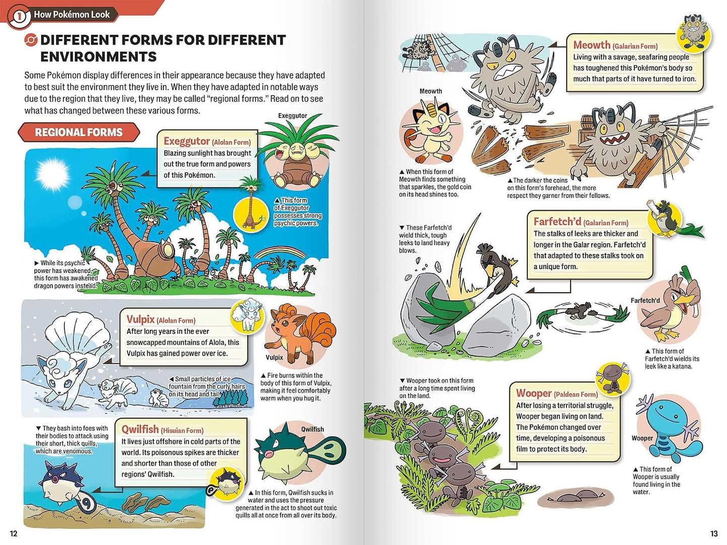 Pokecology: An Illustrated Guide to Pokémon Ecology