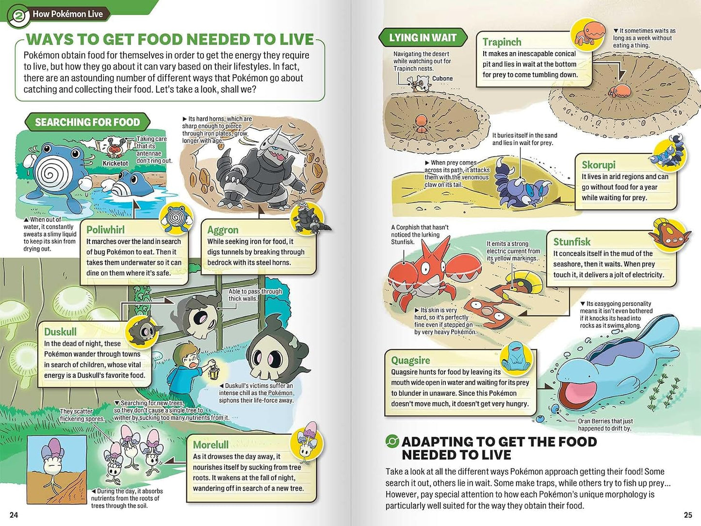 Pokecology: An Illustrated Guide to Pokémon Ecology