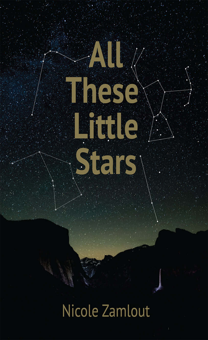All These Little Stars Book Cover