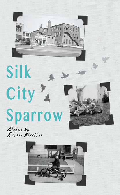 Silk City Sparrow Book Cover
