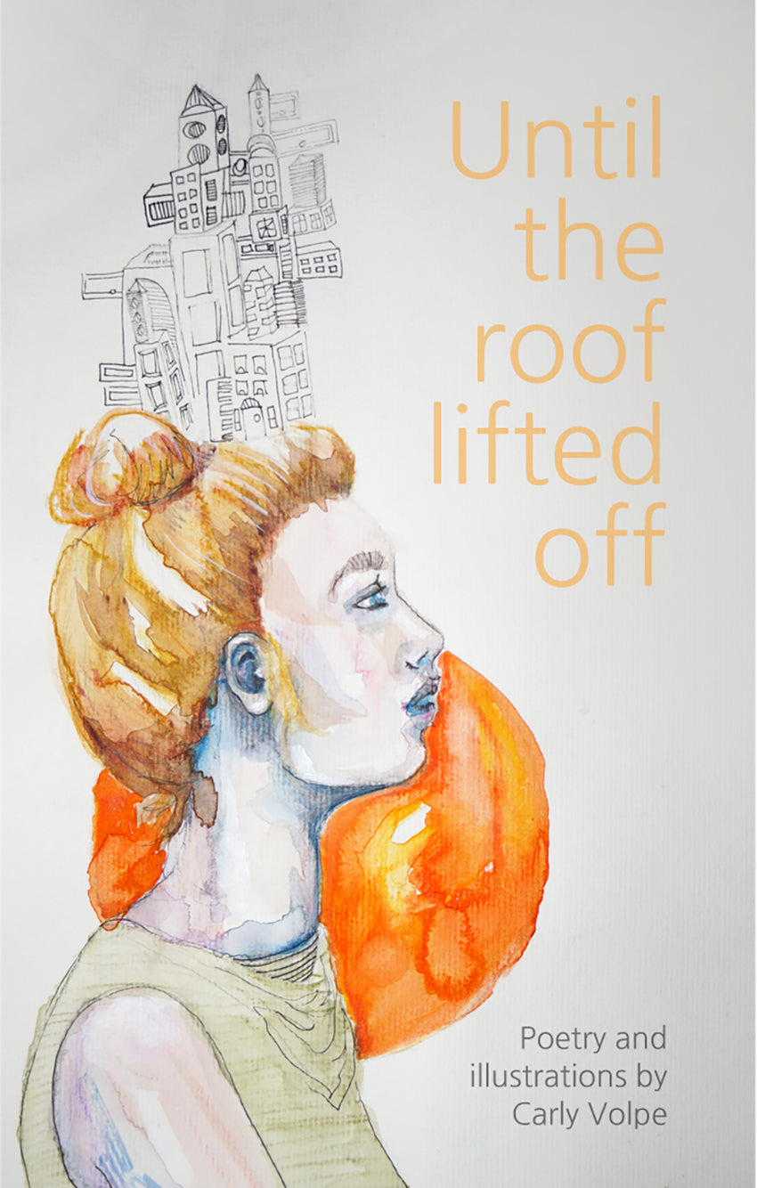 Until the roof lifted off Book Cover